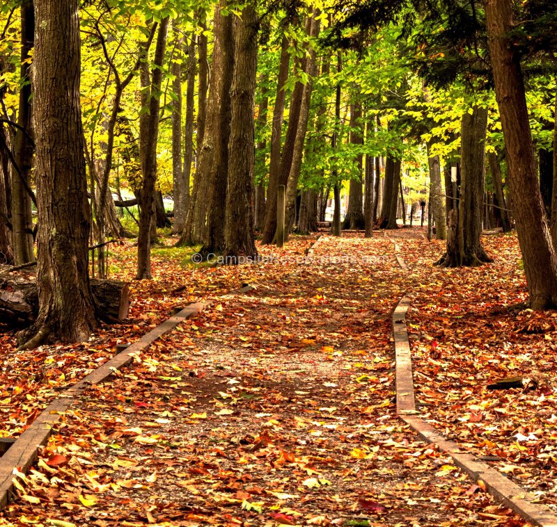 Ludington State Park, Michigan, United States